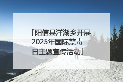 阳信县洋湖乡开展2025年国际禁毒日主题宣传活动