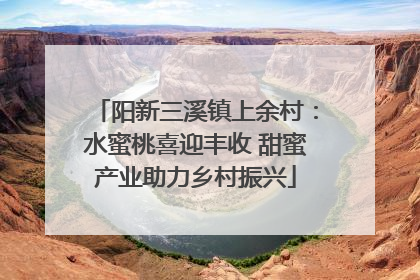 阳新三溪镇上余村：水蜜桃喜迎丰收 甜蜜产业助力乡村振兴