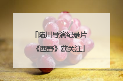 陆川导演纪录片《西野》获关注