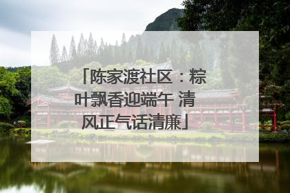 陈家渡社区：粽叶飘香迎端午 清风正气话清廉