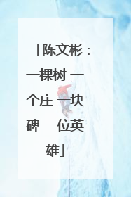 陈文彬：一棵树 一个庄 一块碑 一位英雄