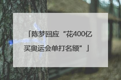 陈梦回应“花400亿买奥运会单打名额”