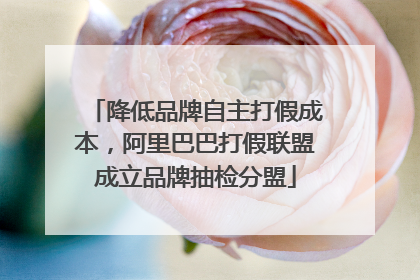 降低品牌自主打假成本，阿里巴巴打假联盟成立品牌抽检分盟