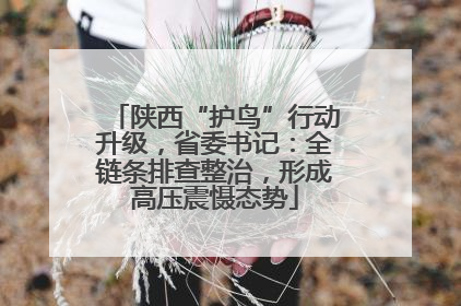 陕西“护鸟”行动升级，省委书记：全链条排查整治，形成高压震慑态势
