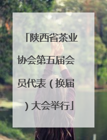 陕西省茶业协会第五届会员代表（换届）大会举行