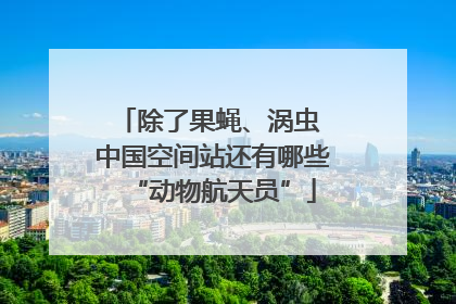 除了果蝇、涡虫 中国空间站还有哪些“动物航天员”