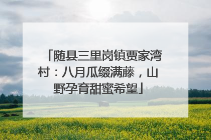随县三里岗镇贾家湾村：八月瓜缀满藤，山野孕育甜蜜希望