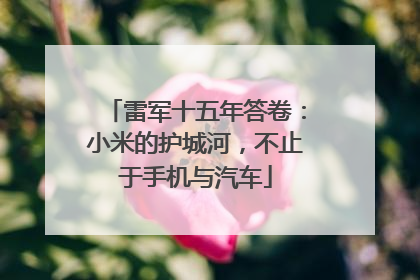 雷军十五年答卷：小米的护城河，不止于手机与汽车