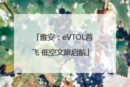 雅安：eVTOL首飞 低空文旅启航