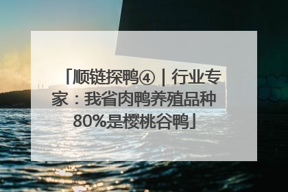 顺链探鸭④｜行业专家：我省肉鸭养殖品种80%是樱桃谷鸭