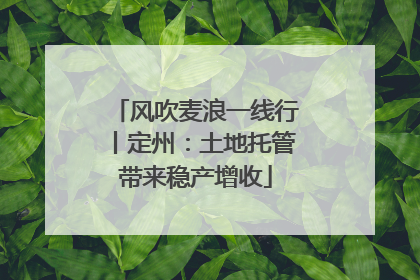 风吹麦浪一线行丨定州：土地托管带来稳产增收