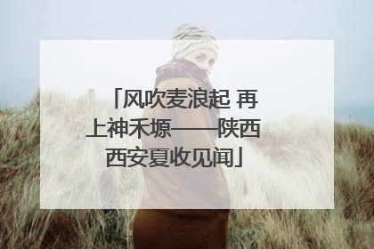风吹麦浪起 再上神禾塬——陕西西安夏收见闻