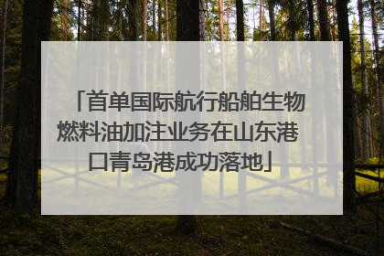 首单国际航行船舶生物燃料油加注业务在山东港口青岛港成功落地