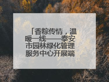 香粽传情，温暖一线——泰安市园林绿化管理服务中心开展端午节慰问活动