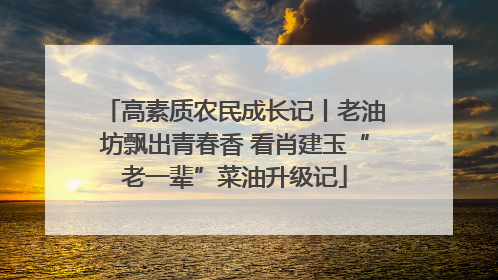 高素质农民成长记丨老油坊飘出青春香 看肖建玉“老一辈”菜油升级记