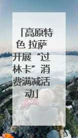 高原特色 拉萨开展“过林卡”消费满减活动