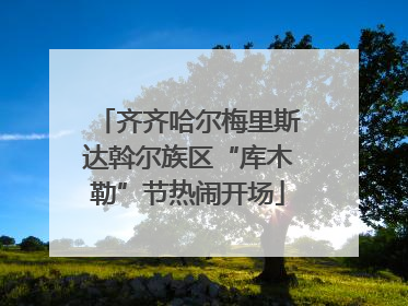 齐齐哈尔梅里斯达斡尔族区“库木勒”节热闹开场
