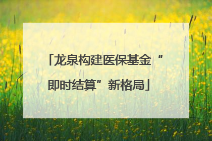 龙泉构建医保基金“即时结算”新格局