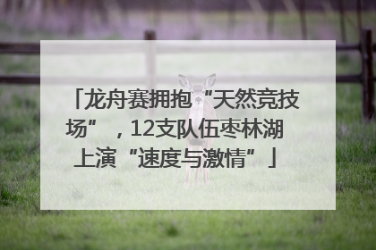 龙舟赛拥抱“天然竞技场”，12支队伍枣林湖上演“速度与激情”