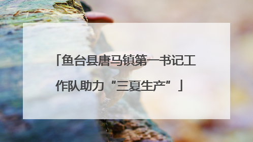 鱼台县唐马镇第一书记工作队助力“三夏生产”