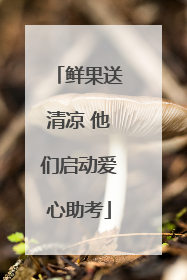 鲜果送清凉 他们启动爱心助考