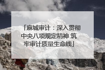 麻城审计：深入贯彻中央八项规定精神 筑牢审计质量生命线