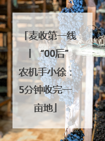 麦收第一线丨“00后”农机手小徐：5分钟收完一亩地