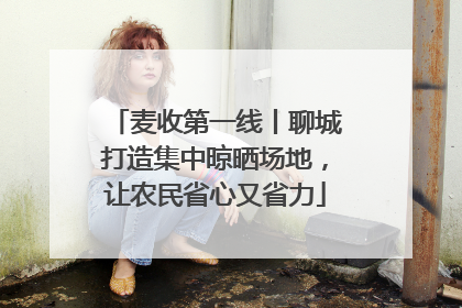 麦收第一线丨聊城打造集中晾晒场地，让农民省心又省力