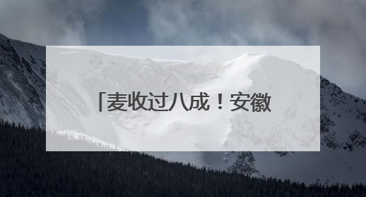 麦收过八成！安徽夏粮有望再迎丰收