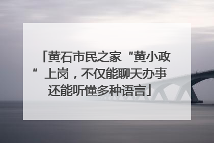黄石市民之家“黄小政”上岗，不仅能聊天办事还能听懂多种语言