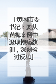 黄冈市委书记：要从黄梅案例中汲取惨痛教训，深刻检讨反思