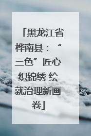 黑龙江省桦南县：“三色”匠心织锦绣 绘就治理新画卷
