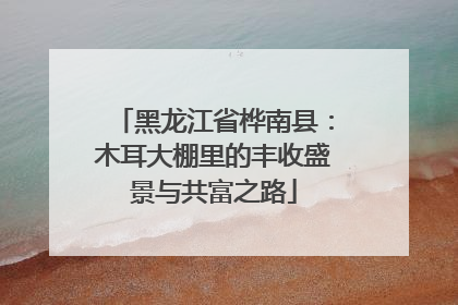 黑龙江省桦南县：木耳大棚里的丰收盛景与共富之路
