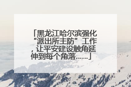 黑龙江哈尔滨强化“派出所主防”工作，让平安建设触角延伸到每个角落……