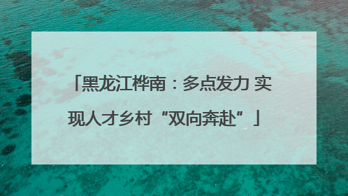 黑龙江桦南：多点发力 实现人才乡村“双向奔赴”