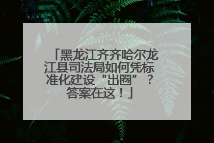 黑龙江齐齐哈尔龙江县司法局如何凭标准化建设“出圈”？答案在这！