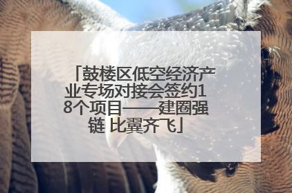 鼓楼区低空经济产业专场对接会签约18个项目——建圈强链 比翼齐飞