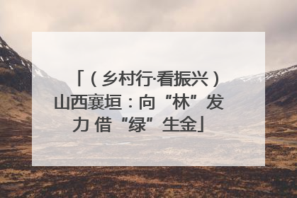 （乡村行·看振兴）山西襄垣：向“林”发力 借“绿”生金