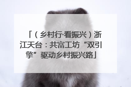 （乡村行·看振兴）浙江天台：共富工坊“双引擎”驱动乡村振兴路