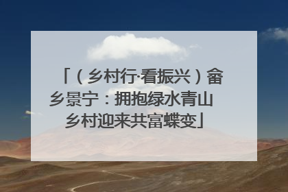 （乡村行·看振兴）畲乡景宁：拥抱绿水青山 乡村迎来共富蝶变