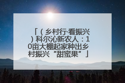 （乡村行·看振兴）科尔沁新农人：10亩大棚起家种出乡村振兴“甜蜜果”