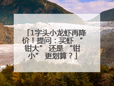 1字头小龙虾再降价！提问：买虾 “钳大” 还是 “钳小” 更划算？