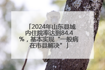 2024年山东县域内住院率达到84.4%，基本实现“一般病在市县解决”