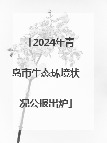 2024年青岛市生态环境状况公报出炉