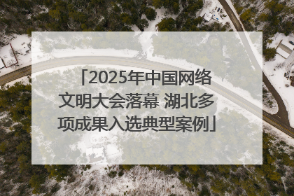 2025年中国网络文明大会落幕 湖北多项成果入选典型案例