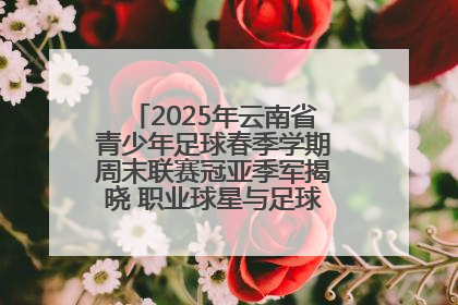 2025年云南省青少年足球春季学期周末联赛冠亚季军揭晓 职业球星与足球小将共享荣耀时刻