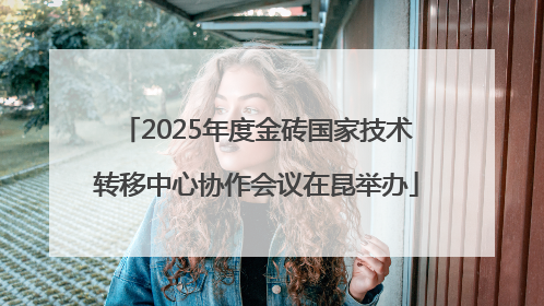 2025年度金砖国家技术转移中心协作会议在昆举办