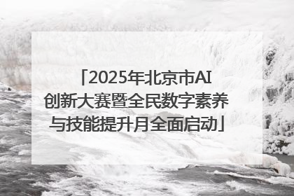 2025年北京市AI创新大赛暨全民数字素养与技能提升月全面启动