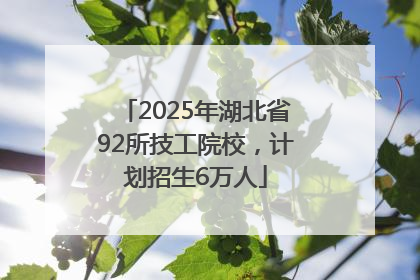 2025年湖北省92所技工院校，计划招生6万人