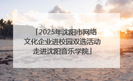 2025年沈阳市网络文化企业进校园双选活动走进沈阳音乐学院
